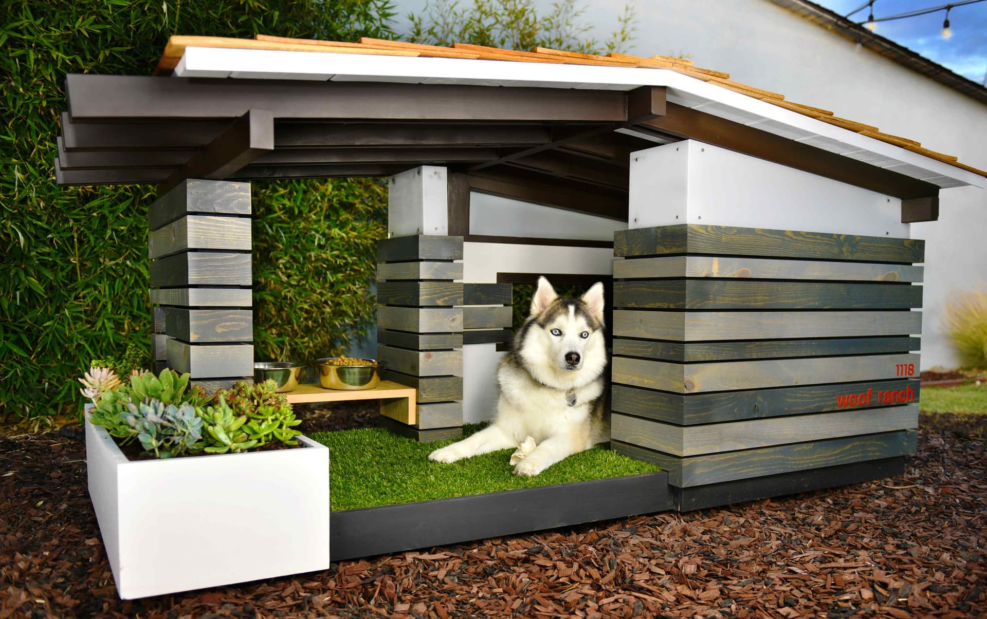 So finden Sie Ihr perfektes Ferienhaus am Meer in Holland mit Hund