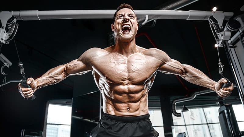 Crack Pre Workout: Energie und Fokus bei Fatburnerking