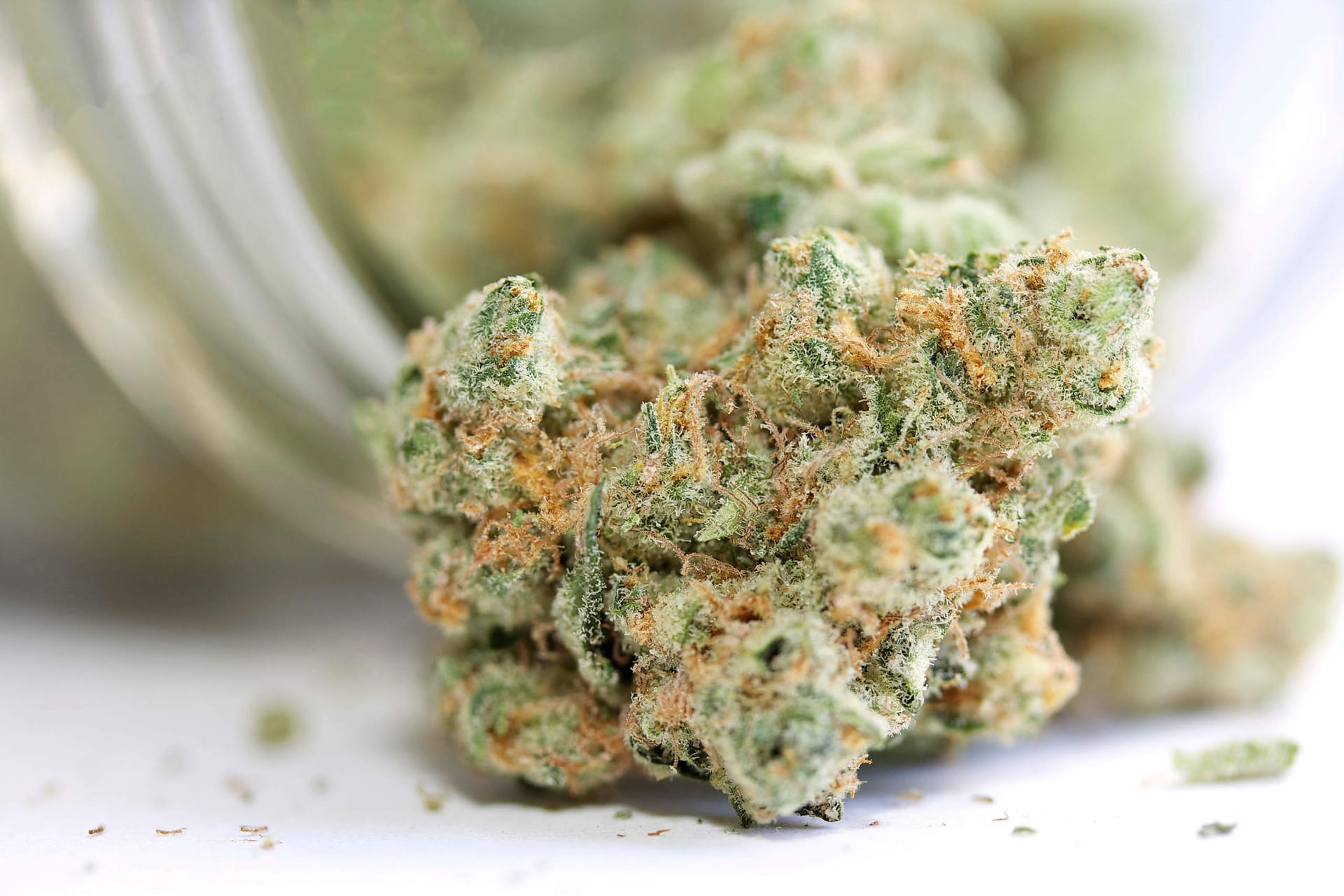 Beste CBD Blüten auswählen – Qualität und Preis im Vergleich