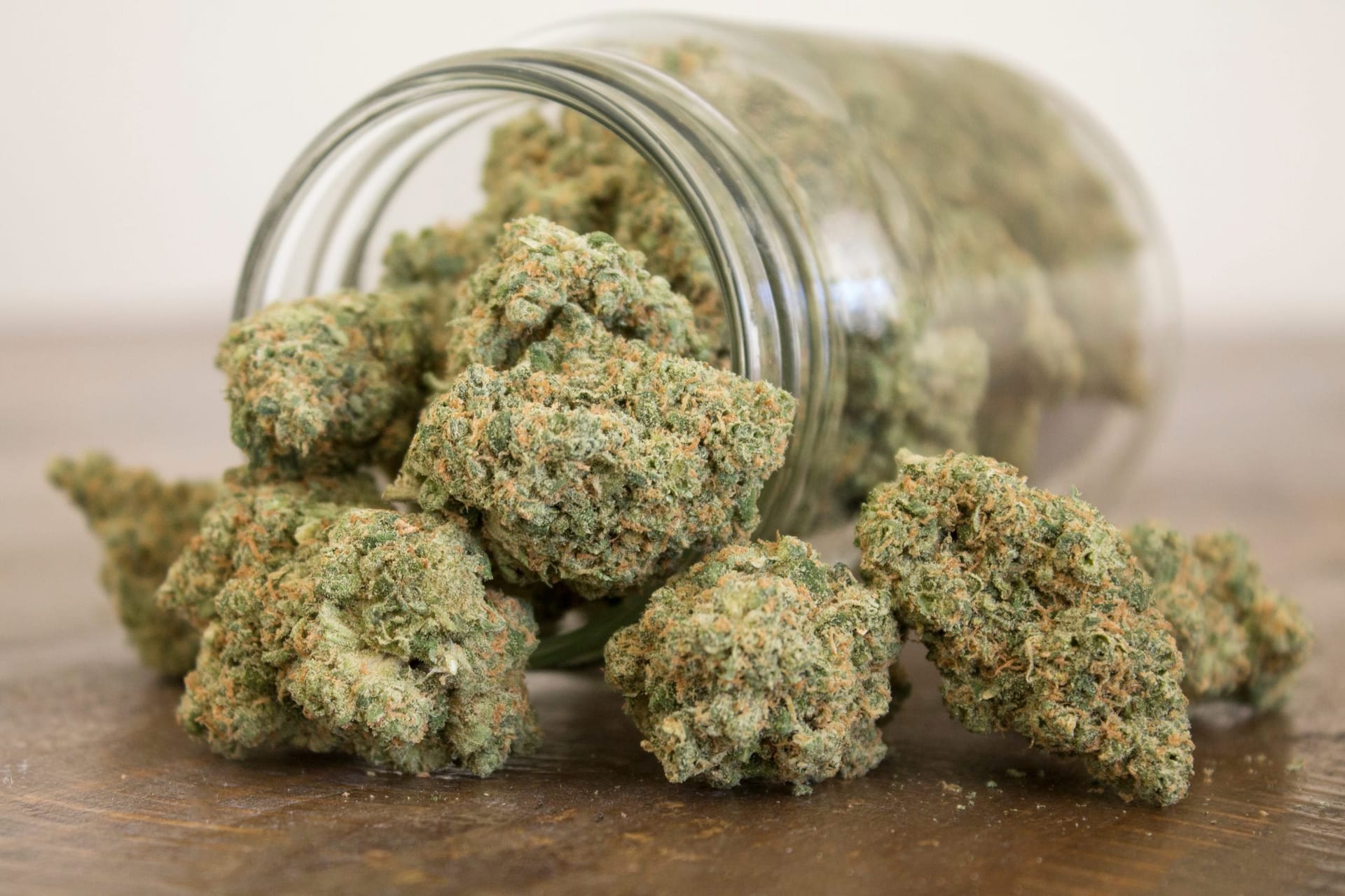 Hanfgenetik vom Feinsten – Cannabis Samen bestellen in großer Auswahl
