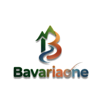 ᗷᗩᐯᗩᖇIᗩOᑎE